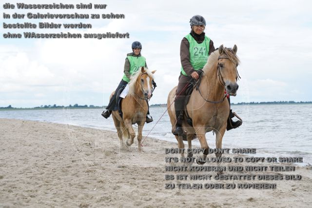 s_K3F05010.JPG